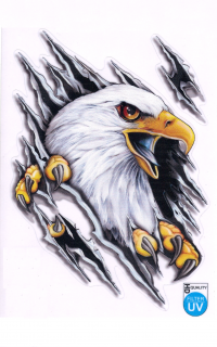 Nálepka Auto-Tattoo  Bald eagle
