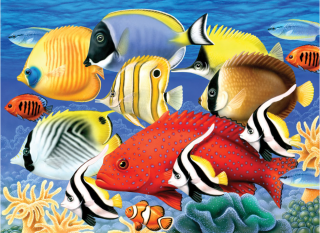 Maľovanie podľa čísiel formát A3 - Tropické ryby (Sada na maľovanie)