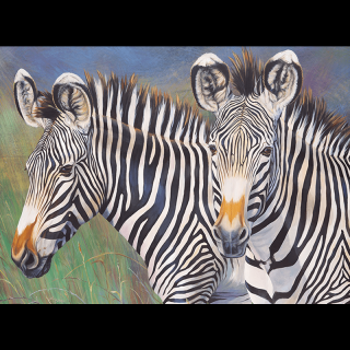 Maľovanie podľa čísiel formát A3 - Zebry (Sada na maľovanie podľa čísiel)