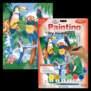 Maľovanie podľa čísiel formát A4 - Tropické vtáky (Sada na maľovanie)