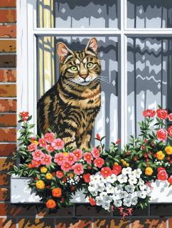 Maľovanie podľa čísiel na plátno formát A4 - Mačka v okne (Sada na)