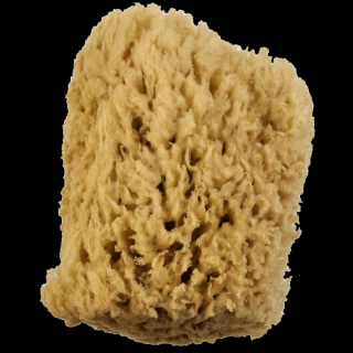Royal Langnickel Veľká vlnová špongia 1ks (Royal Langnickel wool sponge)