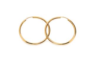 Zlaté náušnice Kruhy 2,5 cm IZ20620
