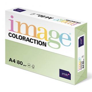 Xerografický papier Coloraction, Jungle, A4, 80 g/m2, svetlo zelený, 500 listov, vhodný pre atramentovú tlač