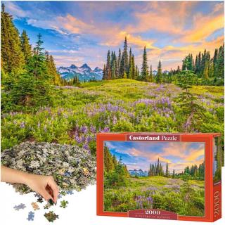 CASTORLAND Puzzle 2000 dielikov Blossoms of Morning - ...
