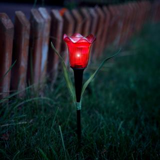 LED solárna lampa tulipán - žltý/červený/ružový - ...