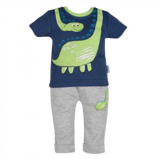Dojčenské tričko s krátkym rukávom a tepláčky New Baby Dino