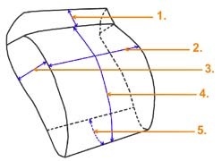 Nánožník UNIVERSAL Softshell - Čierny