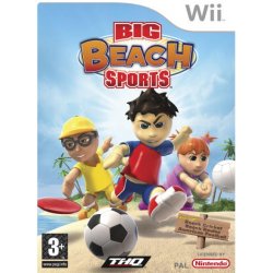 Big Beach Sports Wii