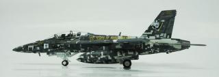 F/A-18F, USN VFA-122 Flying Eagles, NJ100, USN Aviation 100th Annivers