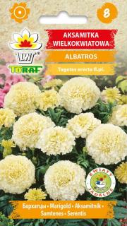 AKSAMITNÍK odrůda ALBATROS, Afrikán /100 semen/ (Tagetes erecta Fl. Pl.)