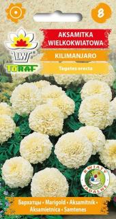 AKSAMITNÍK odrůda KILIMANJARO, Afrikán /90 semen/ (Tagetes erecta Fl. Pl.)