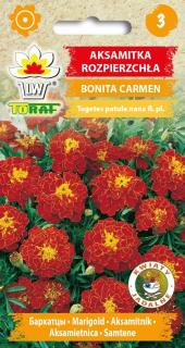 AKSAMITNÍK STŘEDNÍ odrůda BONITA CARMEN Afrikán /300 semen/ (Tagetes patula nana fl.pl.)