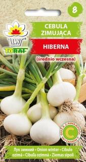 Cibule Hiberna zimující odrůda /500 semen/ (Allium cepa L.)