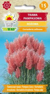 Cortaderia Selloana rosa /500 SEMEN/ (Tráva růžová)