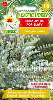 EUCALYPTUS CINEREA, BLAHOVIČNÍK, SILVER DOLLAR TREE/20 semen/ (Eucalyptus cinerea)