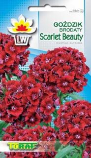 HVOZDÍK VOUSATÝ SCARLET BEAUTY ČERVENÝ MINI KARAFIÁT /350 semen/ (Dianthus barbatus)