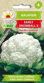 KVĚTÁK EARLY SNOWBAL X / 260 SEMEN/ (Brassica  oleracea L. var. botrytis)