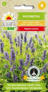 ŠANTA KOČIČÍ (Nepeta cataria) - NĚCO PRO NAŠE MAZLÍČKY 540 SEMEN (Nepeta cataria)