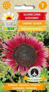 SLUNEČNICE OKRÁSNÁ CHERRY QUEEN /cca 100 semen/ (Helianthus annuus L.)