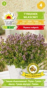 TYMIÁN OBECNÝ PRO ZDRAVÍ I OKRASU 1000 SEMEN (Thymus vulgaris)