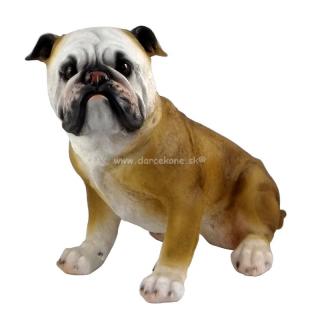 Soška pes Buldog 28cm