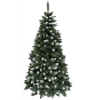Vianočný stromček Borovica Iza 180cm