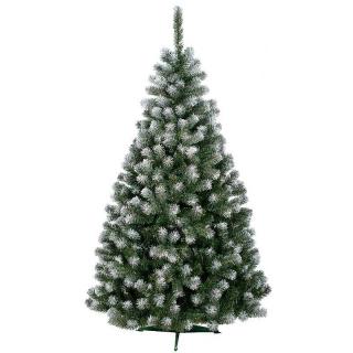 Vianočný stromček jedlička Beata 180cm biele končeky konárikov