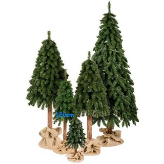Vianočný stromček Smrek horský na pni 120cm