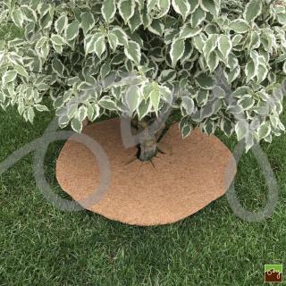 Kokosový kruh Ø100cm ochrana pre strom 800g/m2 (800 gramová)