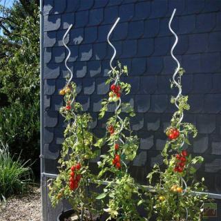Oporná špirálová tyč pre popínavé rastliny 180cm (Kovová)