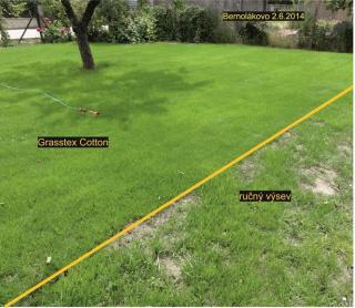 Trávnikový koberec Grasstex 2,1x50m + sieťka proti krtom 2x50m + skoba U 200ks ()