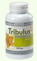 Tribulus Terrestris (Prírodný stimulant tvorby testosterónu.)
