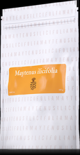 Maytenus ilicifolia: menštruačné problémy, klimaktérium | mamazem.sk