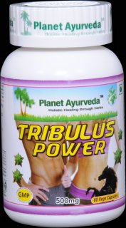 TRIBULUS POWER  (Tribulus Terrestris) - silný extrakt | mamazem.sk