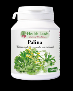 Health Leads Palina, 300mg - 90 kapsúl