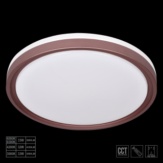 FLOREN stropné okrúhle svietidlo 1xLED/33W na diaľkové ovládanie