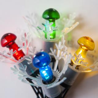 Vianočná reťaz ASTRA LED MUCHOTRÁVKA farebná 20LED, 5,7m, USB/batérie