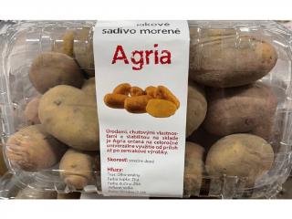 BIO sadbové zemiaky AGRIA 1kg stredne skoré
