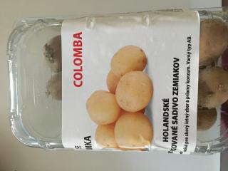 Bio sadbové zemiaky COLOMBA  1kg skoré