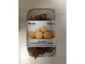 Bio sadbové zemiaky VIVALDI 1kg skoré