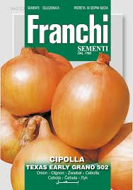 Cibula- TEXAS EARLY GRANO 502    4g (CIPOLLA TEXAS EARLY GRANO 502)
