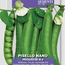 Hrach nízky - PROGRESS N.9 50g (PISELLO NANO PROGRESS N.9)