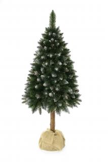Aga Vianočný stromček 150 cm s kmeňom
