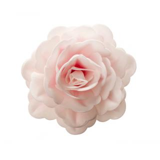 Jedlý cukrový obří květ růže bílo růžová 12,5cm