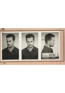 DVD - Slobodní (Príbeh priateľstva, ktoré zmenilo Slovensko.)