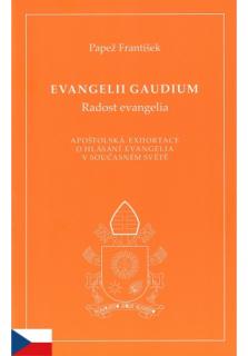 Evangelii gaudium (Radost evangelia) (Apoštolská exhortace o hlásání evangelia v současném světě)