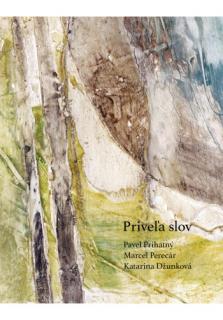 Priveľa slov