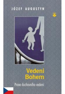 Vedeni Bohem (Praxe duchovního vedení)