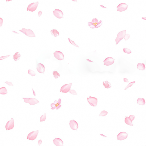 LevinFelin Detská plachta Nika Junior zo 100 % bavlny Varianta: ružové lupene